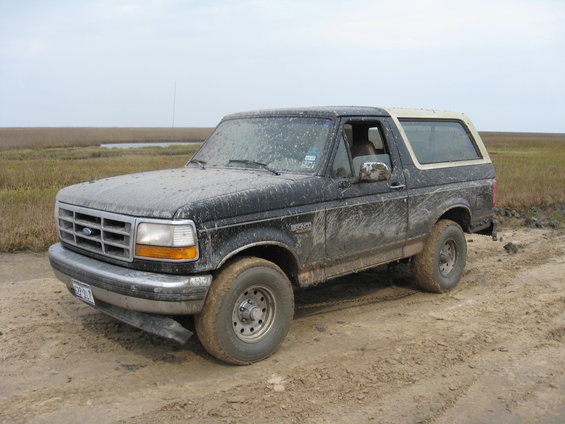 Mud-covered 1994 Ford Bronco parked on a dirt road with marshland in the background