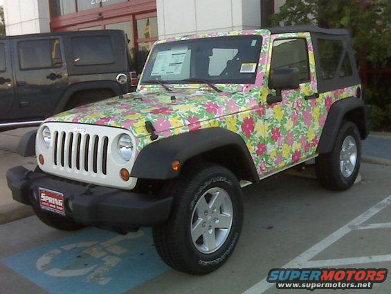 img00277.jpg why would you do this?