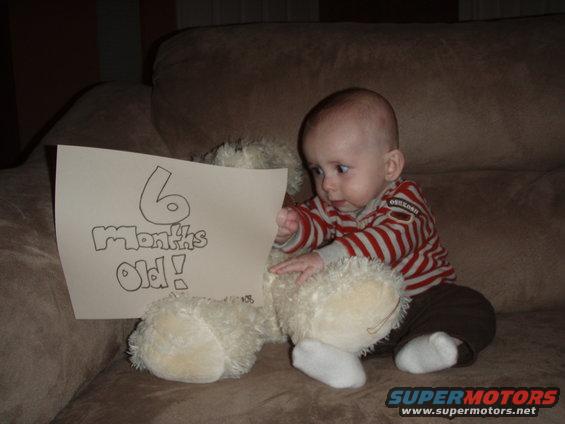 Baby sitting on couch with stuffed animal and sign that says '6 Months Old!'