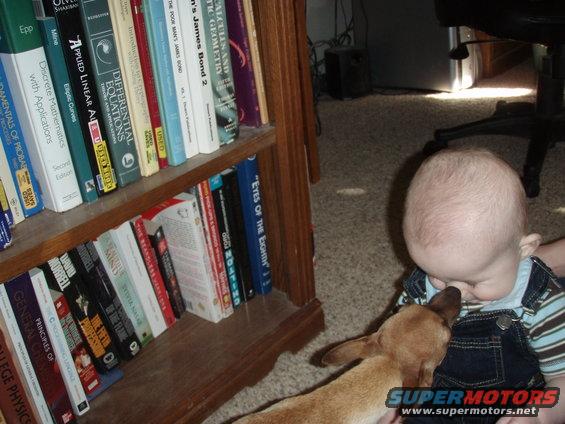 Baby in overalls interacting with a small dog near a wooden bookshelf filled with books