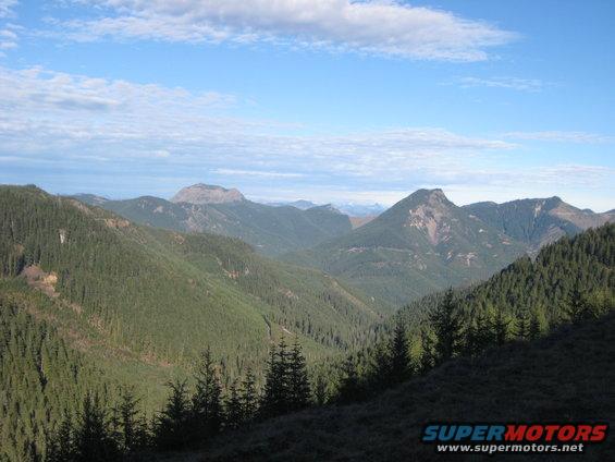 Mountain landscape with evergreen trees and a cloudy sky