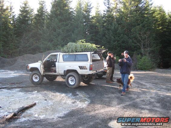 White pickup truck with camper shell, carrying a Christmas tree on top. Another vehicle is behind it. People and a dog are nearby