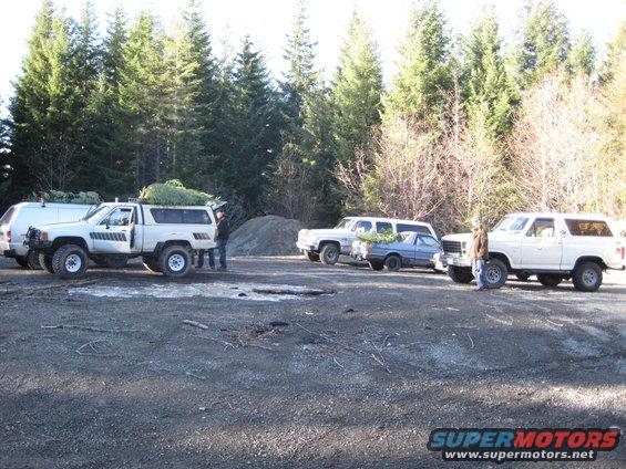 Four SUVs and a van parked in a lot, each carrying a Christmas tree on its roof