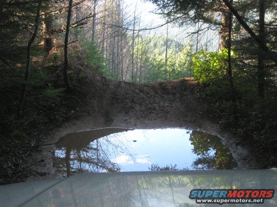 view from car hood looking at muddy water crossing in forest