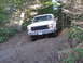 1980 Ford Bronco