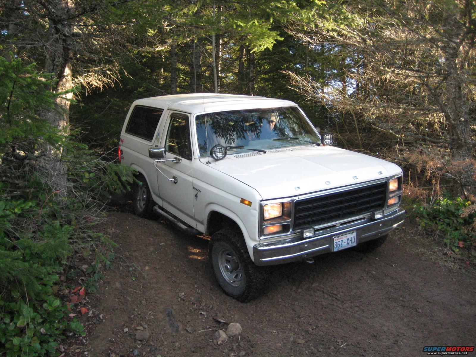 1980 Ford Bronco photo