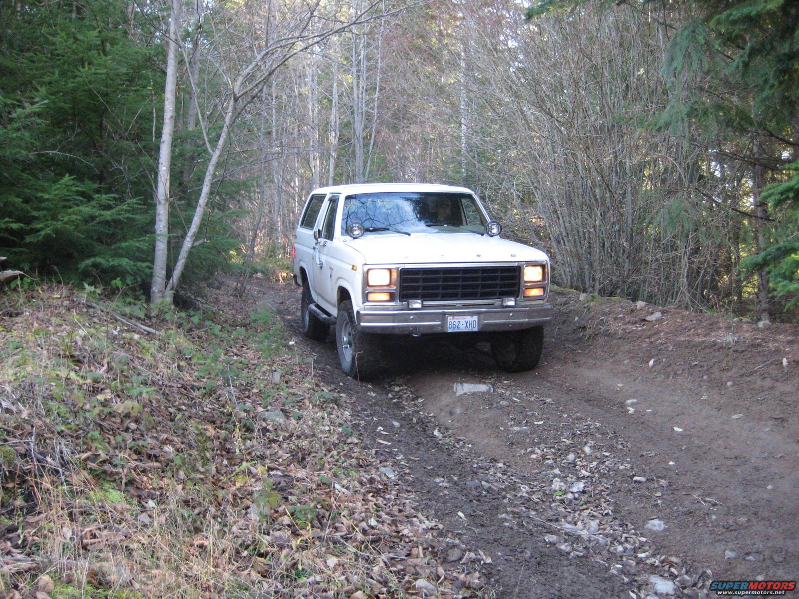 1980 Ford Bronco photo