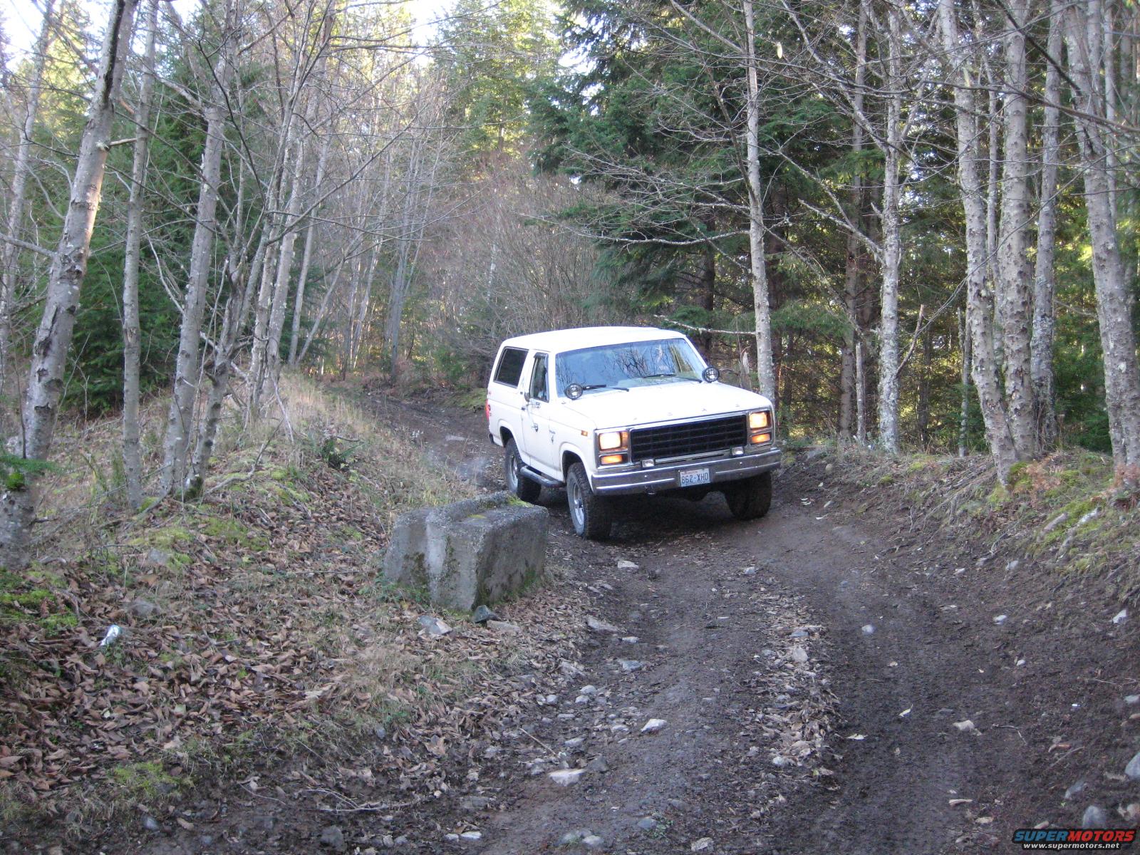 1980 Ford Bronco photo