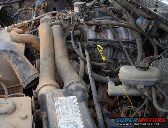 engine bay with hoses, wires, and fluid reservoir