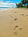 1970 Mercury Cougar - Footprints mark a path along the sandy shore, with a person walking in the distance.