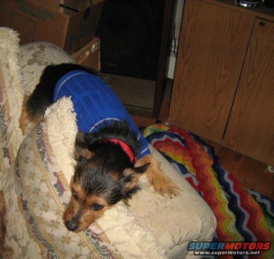 img_0163.jpg 12-7-08