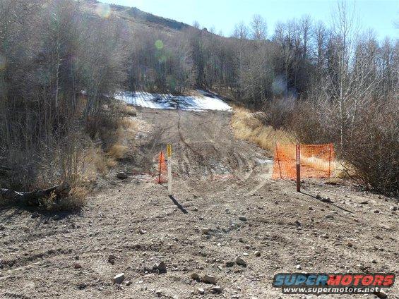 p1010815-(large).jpg orange barrier tree fence - before