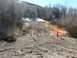 1978 Ford F-150 - orange barrier tree fence - before