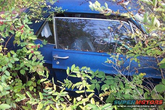 vintage-car-junkyard-67-notch.jpg 