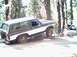 1985 Ford Bronco