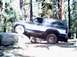 1985 Ford Bronco