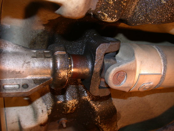 dscn2237.jpg
