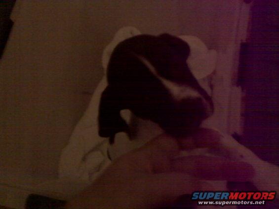 img00457.jpg 