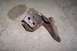 1990 Ford Bronco - This was the passenger side radius arm mount... Big time rot :(