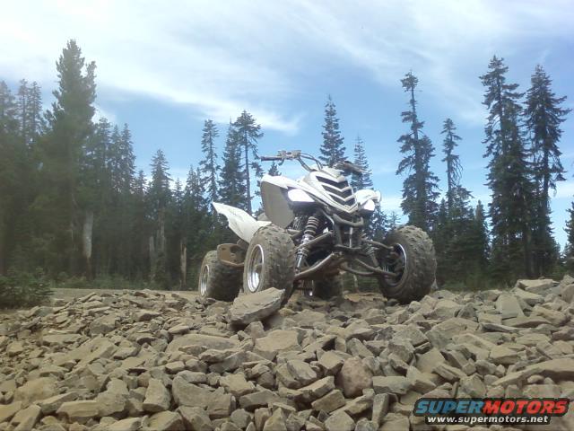 White ATV on rocky terrain with pine trees