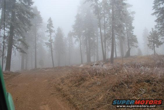 dsc_1336.jpg