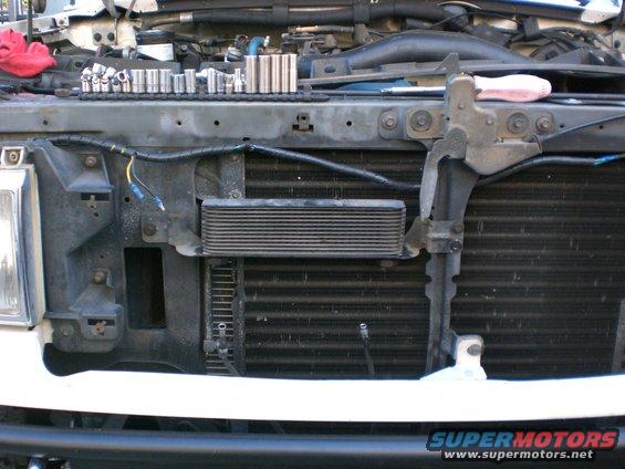 small cooler 2 3/4 x 11