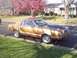 1977 Ford Mustang II - This 1977 Ford Mustang II coupe is parked on a street in front of a house with a pink flowering tree.
