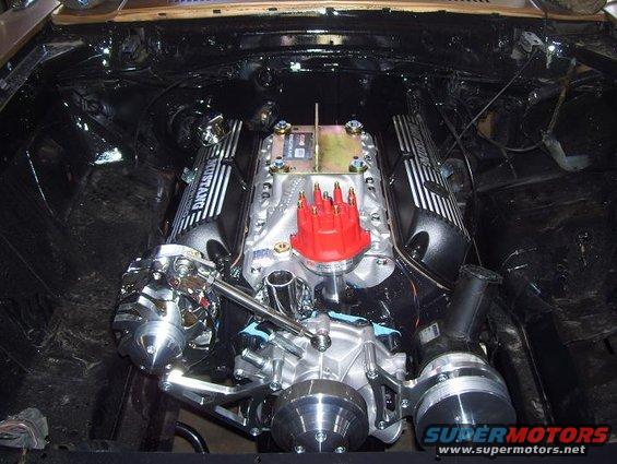Engine bay with a V8 engine "Mustang" valve covers and a red distributor cap
