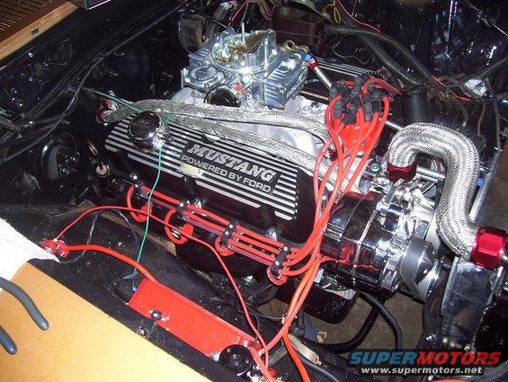 Close-up of a Ford Mustang engine with "MUSTANG POWERED BY FORD" valve covers and red spark plug wires