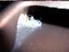 hood scoop mounting...small L bracket screwed fast to scoop (on side) and nut clip (bottom against...