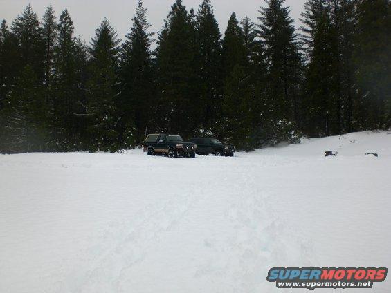 Two SUVs parked in a snowy field with a forest behind them.