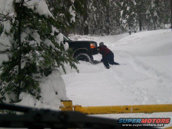 Person pushing a dark SUV stuck in deep snow on a wooded road.
