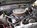 1966 Ford Ranchero - it took 3 weeks with barbcue tongs to remove all the cactus