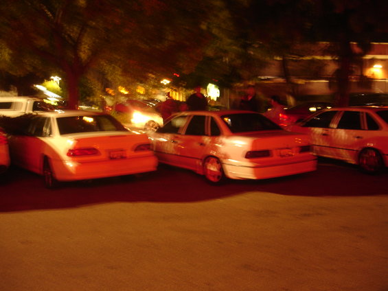 dsc00388.jpg 
