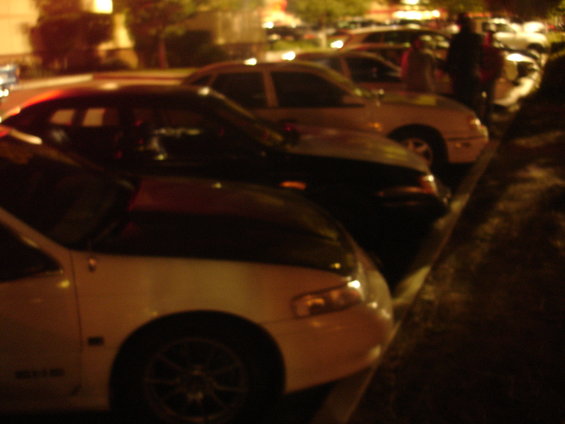 dsc00391.jpg 