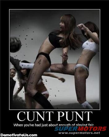 punt.jpg 