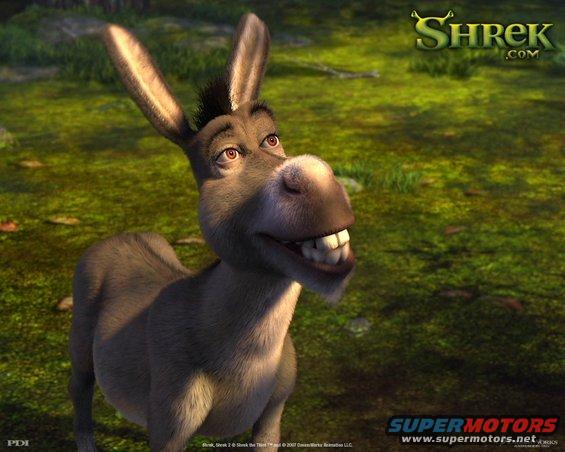donkey1.jpg 