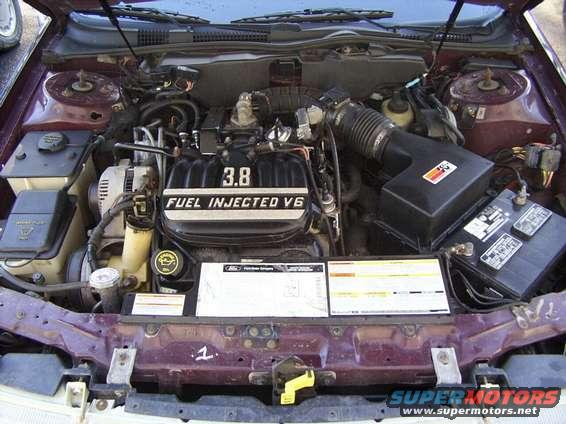 Engine bay with 3.8L Fuel Injected V6 engine and battery