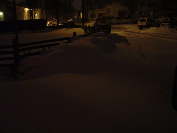 dsc05405.jpg 