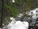 1989 Ford Bronco - Several SUVs, including a 1989 Ford Bronco, navigate a snowy trail in a wooded area.