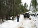 1989 Ford Bronco - A black Ford Bronco navigates a snowy forest road with another vehicle behind it.