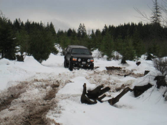 Black SUV driving through snow with trees in the background