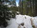 1989 Ford Bronco - An SUV navigates a snowy path through a dense forest.