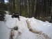 1989 Ford Bronco - A 1989 Ford Bronco navigates a challenging snowy and muddy path through a dense forest.
