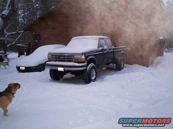 Lifted Ford pickup truck covered in snow next to a car also covered in snow. Dog in foreground