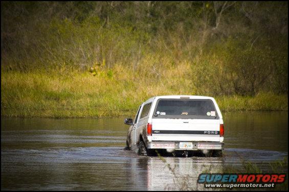 1996 Ford F-150 driving through shallow water, rear view. License plate visible