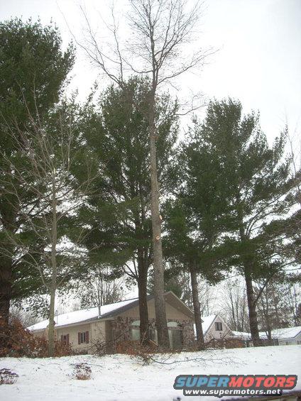 dscn3352.jpg 