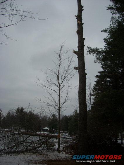dscn3355.jpg 