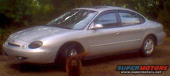 taurus_and_bailey.jpg My dog Bailey and my Taurus