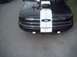 1995 Ford Taurus - One mean mother f-er.